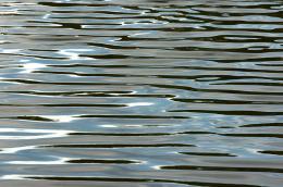 Ripples