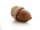 acorn source image