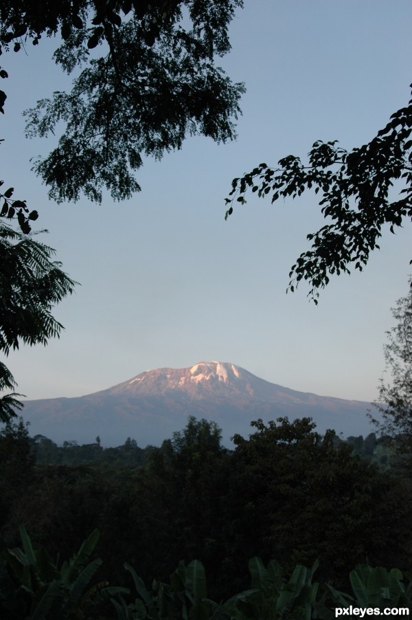 Kilimanjaro