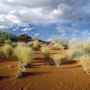 africa lyrics photography contest