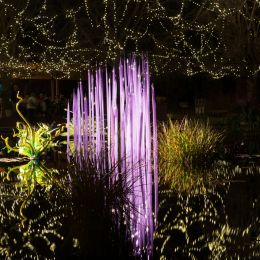 Picture of a sculpture set in a pond Picture