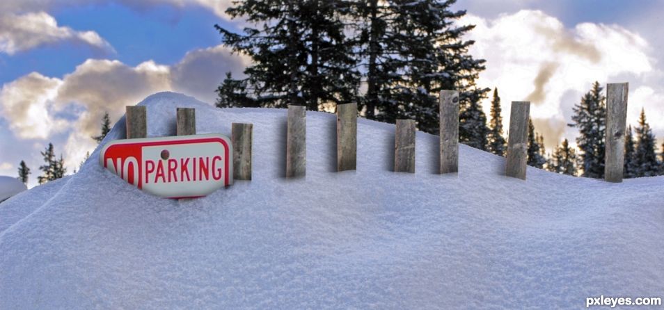 Snow Fence