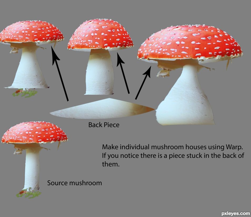 Creation of Mushroom Village: Step 11