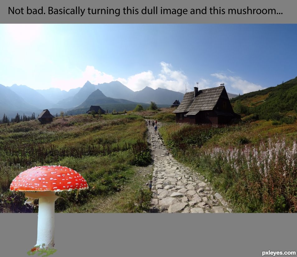 Creation of Mushroom Village: Step 29