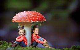 The Mushroom Sisters