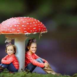 TheMushroomSisters