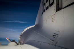 Fuselage Rivets