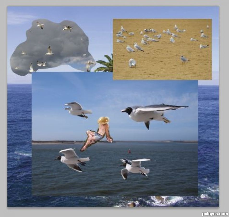 Creation of Castaway: Step 3