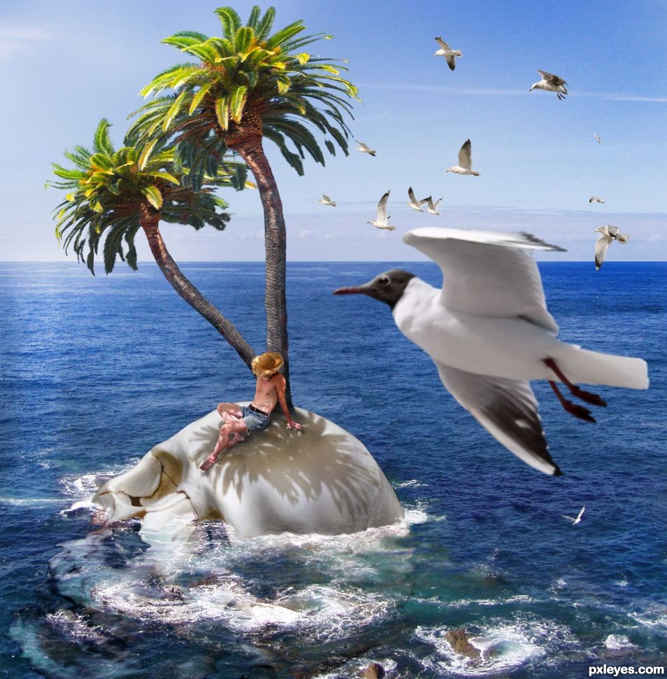 Creation of Castaway: Step 9