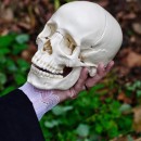 alas poor yorick photoshop contest