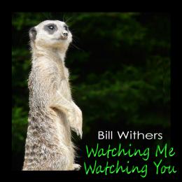 WatchingMeWatchingyou