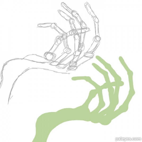 Creation of Pet: Step 1