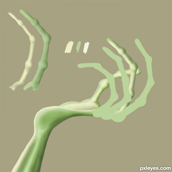 Creation of Pet: Step 2