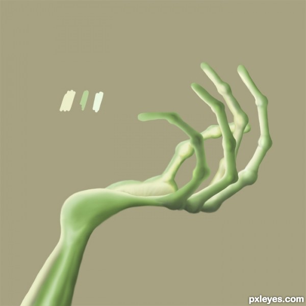 Creation of Pet: Step 3