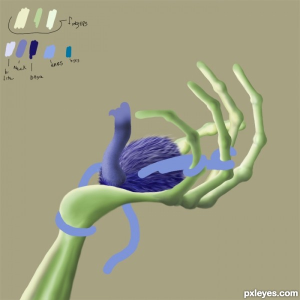 Creation of Pet: Step 4