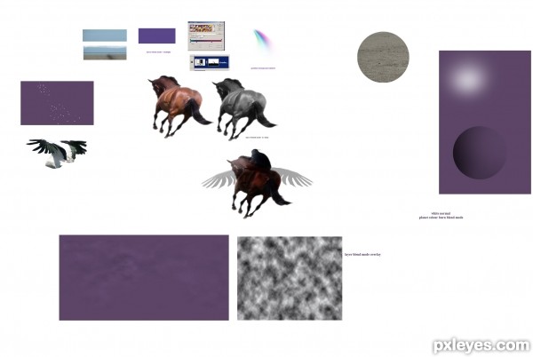 Creation of winging it alone: Step 1