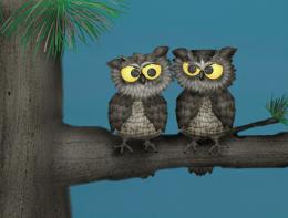 sandy beach owls