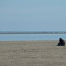 all alone source image