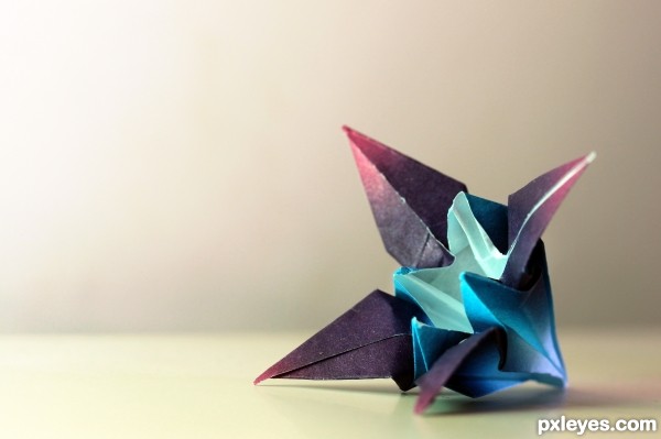 My origami iris