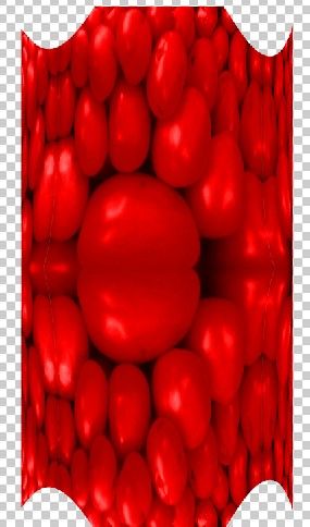 Creation of Square Tomatoes: Step 6