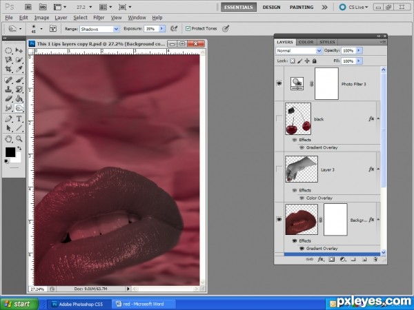 Creation of Black cherries!: Step 2