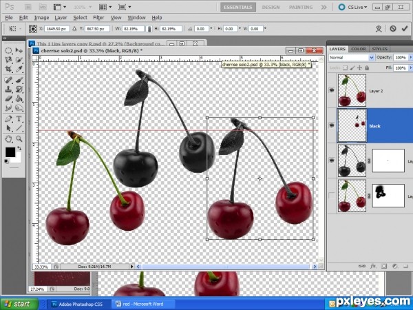 Creation of Black cherries!: Step 3