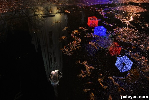 Wet pavement & reflections