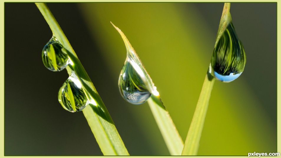 Three blades, four drops