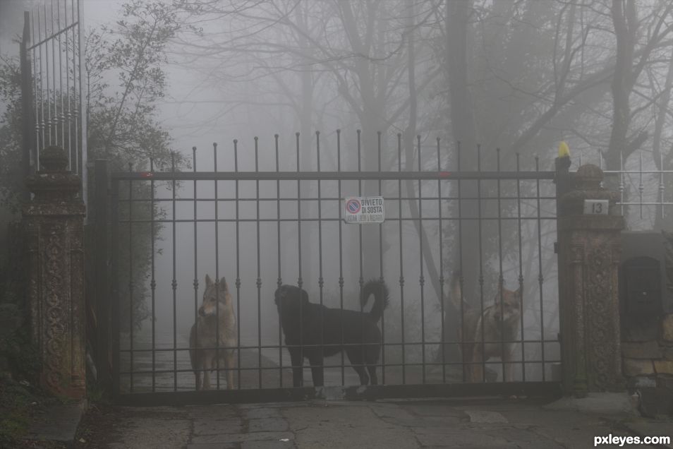 guardians in the fog