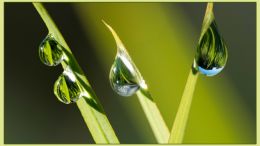 Three blades, four drops