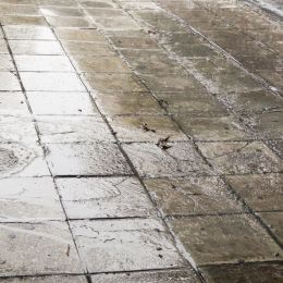 Rain