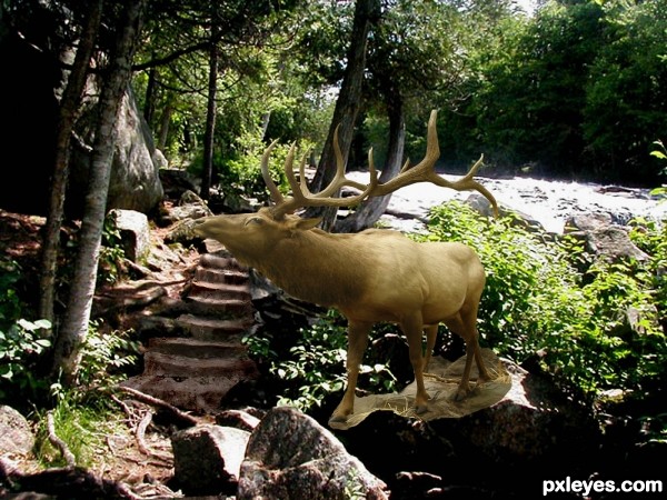 Creation of Sun-dappled Stairs to the Fall: Step 6