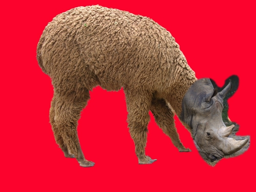 Creation of Rhinomel: Step 3