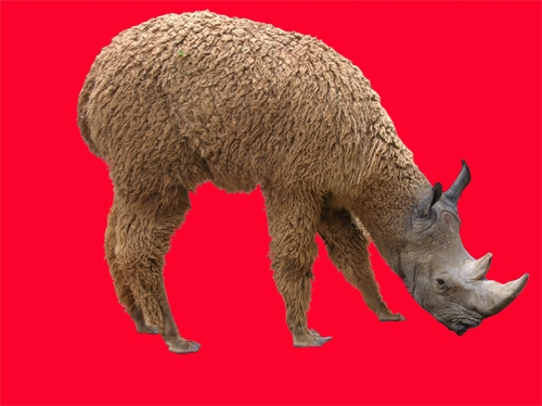 Creation of Rhinomel: Step 4