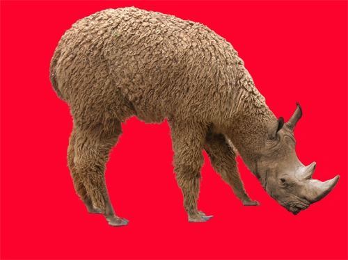Creation of Rhinomel: Step 5