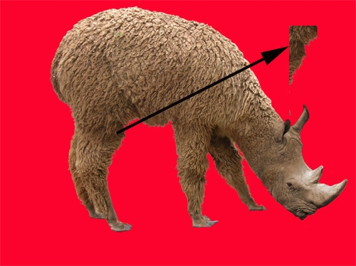 Creation of Rhinomel: Step 6