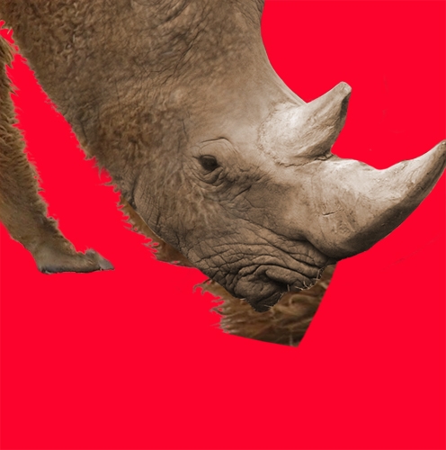 Creation of Rhinomel: Step 7