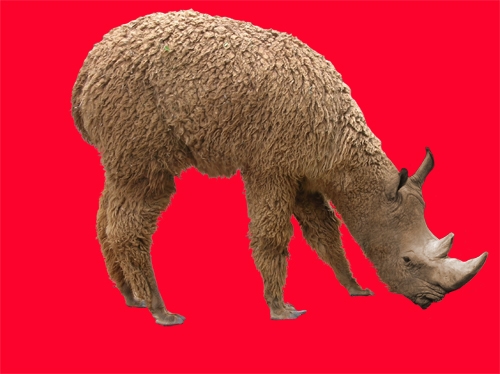 Creation of Rhinomel: Step 8