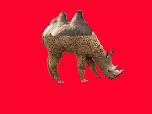 Creation of Rhinomel: Step 11