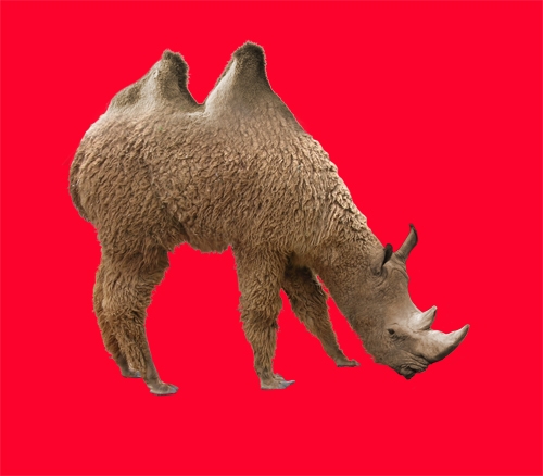 Creation of Rhinomel: Step 12