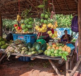 Roadside fruits
