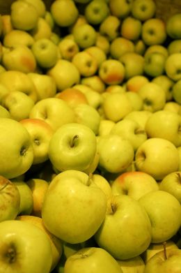 Lodi Apples