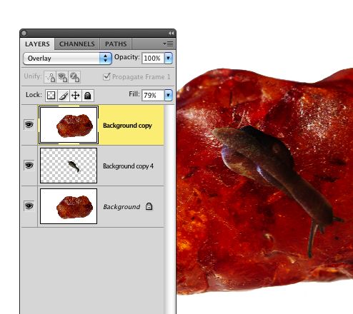 Creation of Older than me: Step 4