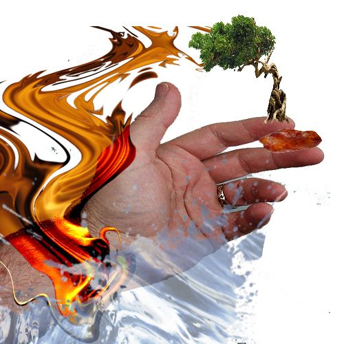 Creation of Life: Step 1