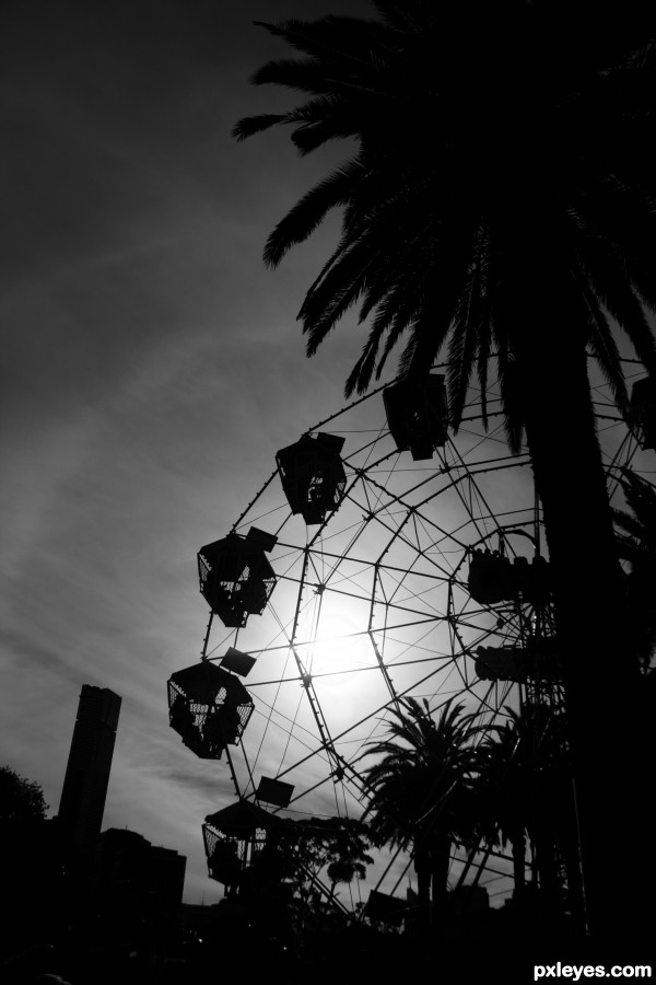 Ferris Wheel in Silhouette