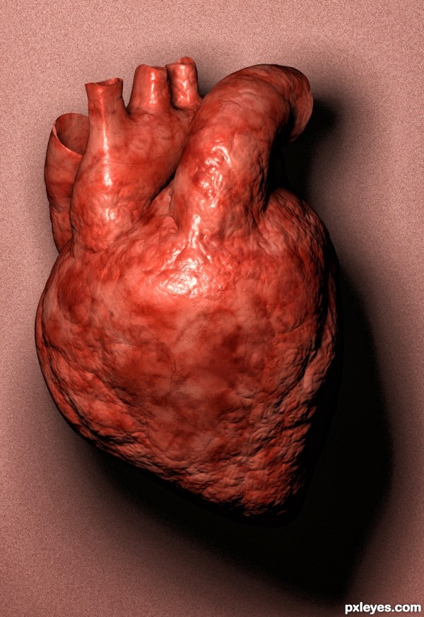 Real Human Heart