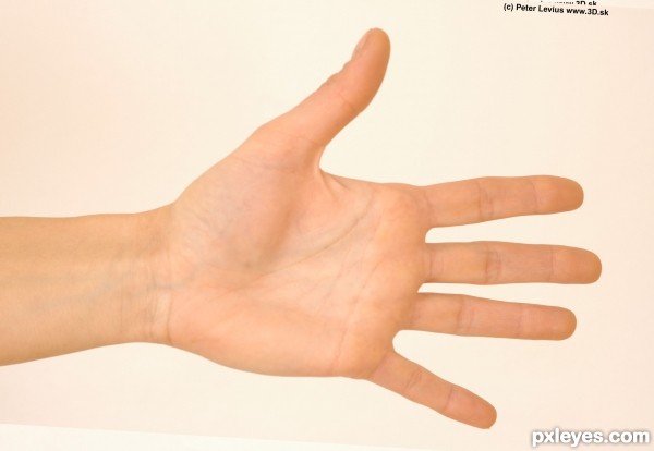 Creation of Hands: Step 16