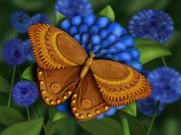 Butterfly Picture