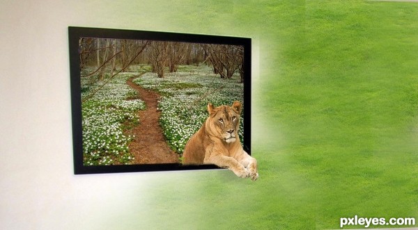 Creation of The Lost lion: Step 6
