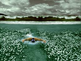 Swim A-Path
